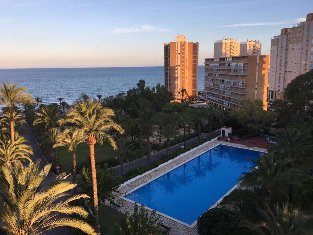 Alicante Plage Muchavista Vu Mer Piscine ,Wifi Exteriér fotografie